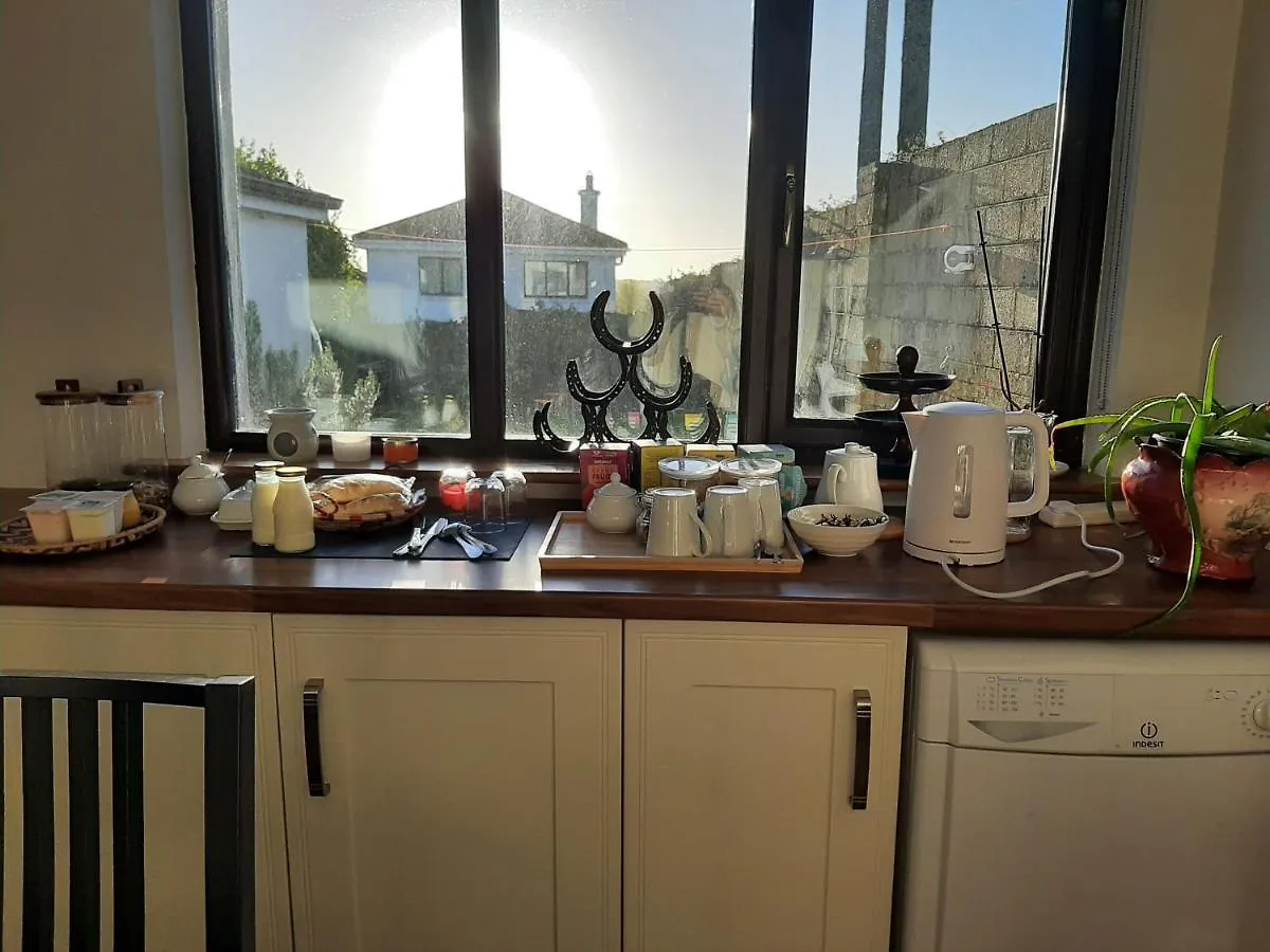فندق مبيت وإفطار غالواي Ger'S Lodging